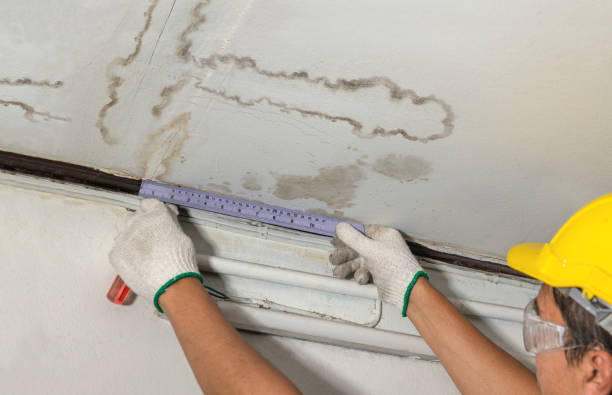 Reliable Mold Remediation contractor in Cookeville, TN by Water Damage Irwin